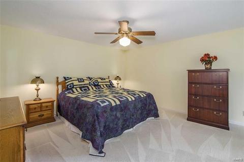 5 Swindon Ct, Manchester, MO 63011 photo 12