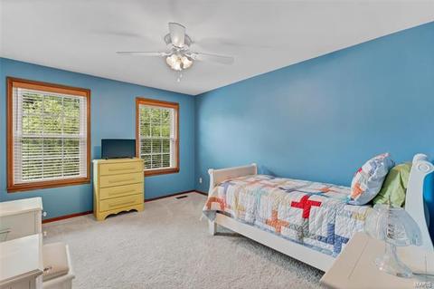 609 Audubon Place Ct, Manchester, MO 63021 photo 22