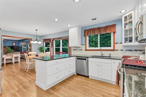 609 Audubon Place Ct, Manchester, MO 63021 photo 6