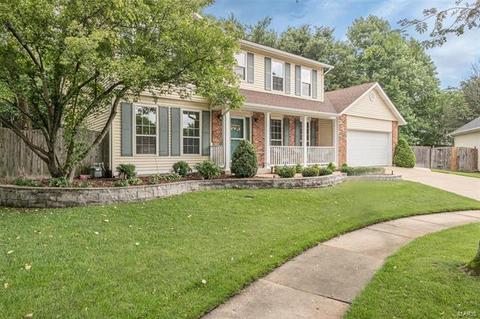 609 Audubon Place Ct, Manchester, MO 63021 photo 33