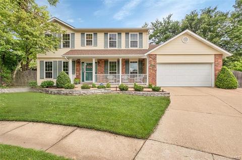 609 Audubon Place Ct, Manchester, MO 63021 photo 2