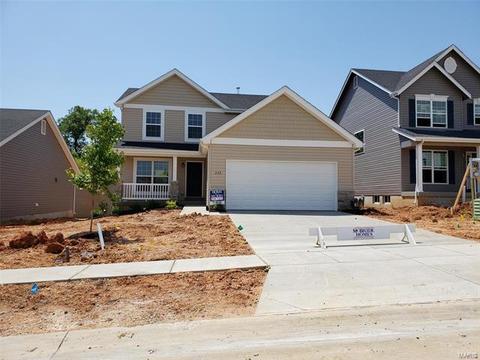 226 Bluestem Ln, O'fallon, MO 63366 photo 1