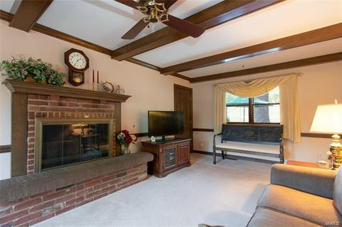 46 Klamberg Ln, Ellisville, MO 63021 photo 22