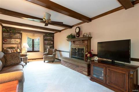 46 Klamberg Ln, Ellisville, MO 63021 photo 20