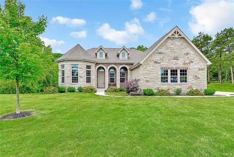 8 Reservoir Ct, Eureka, MO 63025 photo 57