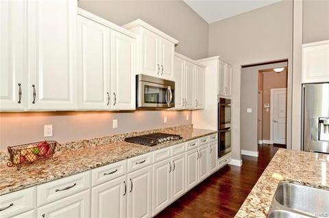 8 Reservoir Ct, Eureka, MO 63025 photo 25