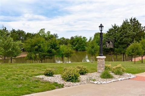 8 Reservoir Ct, Eureka, MO 63025 photo 62