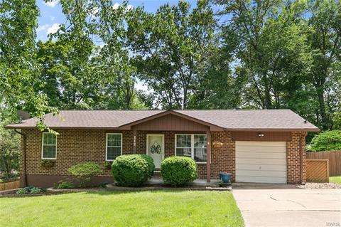 112 Willow Dr, Eureka, MO 63025 photo 22
