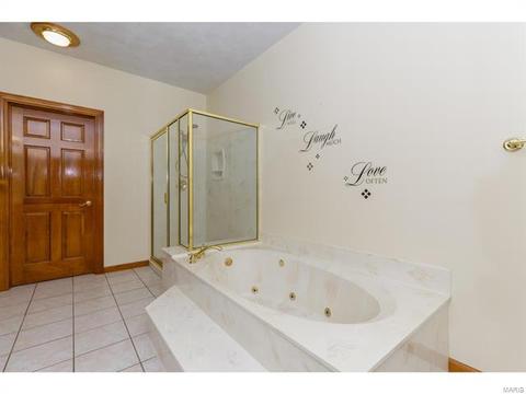 319 Walnut Frst, O'fallon, MO 63366 photo 12