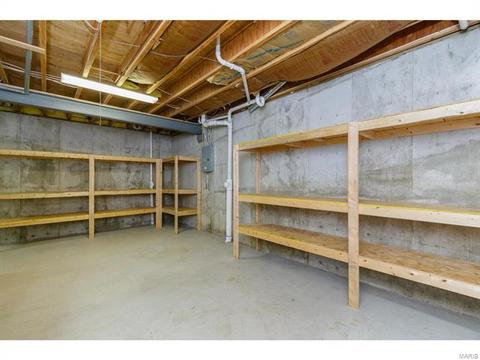 319 Walnut Frst, O'fallon, MO 63366 photo 64