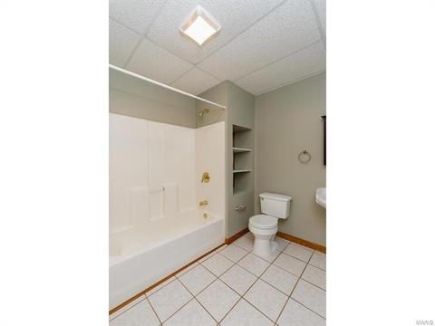 319 Walnut Frst, O'fallon, MO 63366 photo 56