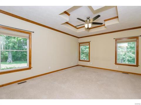 319 Walnut Frst, O'fallon, MO 63366 photo 10