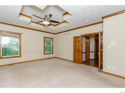 319 Walnut Frst, O'fallon, MO 63366 photo 44