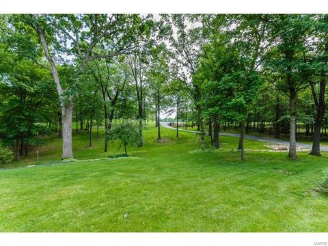 319 Walnut Frst, O'fallon, MO 63366 photo 21