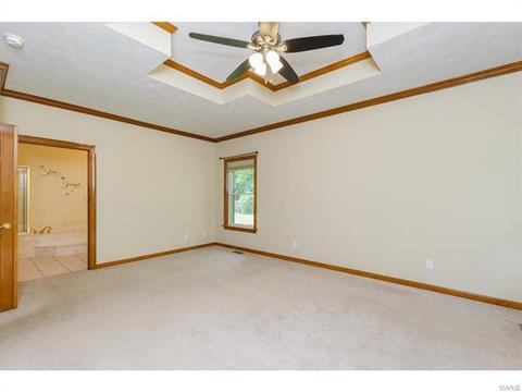 319 Walnut Frst, O'fallon, MO 63366 photo 46