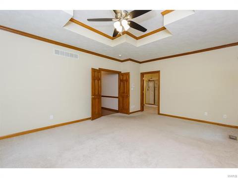 319 Walnut Frst, O'fallon, MO 63366 photo 45
