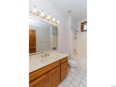 319 Walnut Frst, O'fallon, MO 63366 photo 51