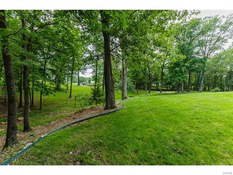 319 Walnut Frst, O'fallon, MO 63366 photo 23