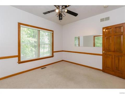 319 Walnut Frst, O'fallon, MO 63366 photo 48