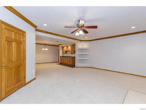 319 Walnut Frst, O'fallon, MO 63366 photo 54
