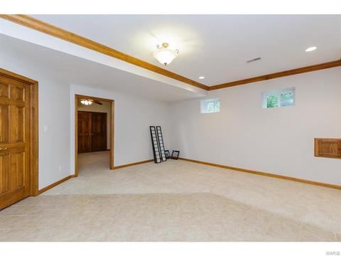 319 Walnut Frst, O'fallon, MO 63366 photo 57
