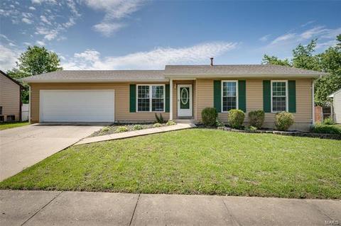 1366 Half Moon Dr, O'fallon, MO 63366 photo 1