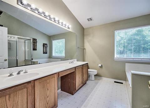194 Hunters Lake Ct, Eureka, MO 63025 photo 18