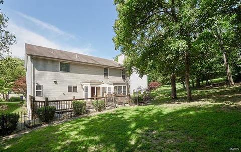 194 Hunters Lake Ct, Eureka, MO 63025 photo 25