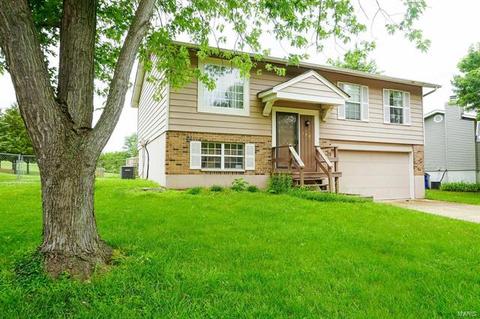 100 Elk Run Dr, Eureka, MO 63025 photo 1