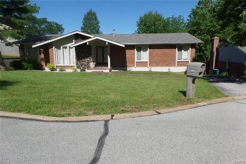 555 Spragues Ml, Ballwin, MO 63011 photo 4
