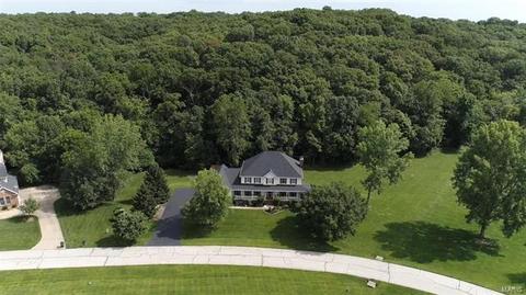 1326 Ridgetree Trails Ct, Wildwood, MO 63021 photo 57