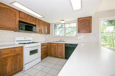 1436 Westbrooke Meadows Ln, Ballwin, MO 63021 photo 9
