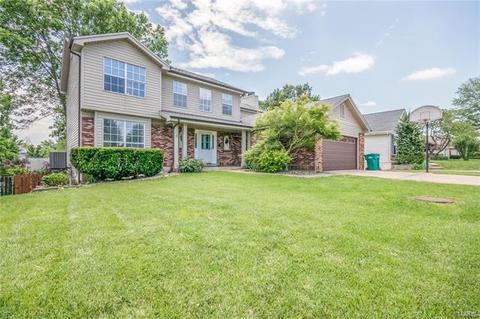 1436 Westbrooke Meadows Ln, Ballwin, MO 63021 photo 2