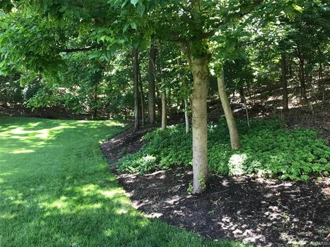 923 Castle Pines Dr, Ballwin, MO 63021 photo 6