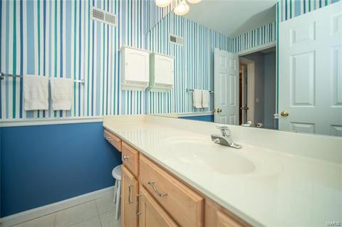 923 Castle Pines Dr, Ballwin, MO 63021 photo 33