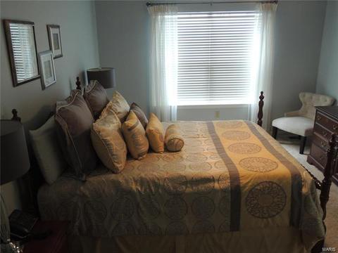 1222 Bedford Falls Ct, Ballwin, MO 63021 photo 19