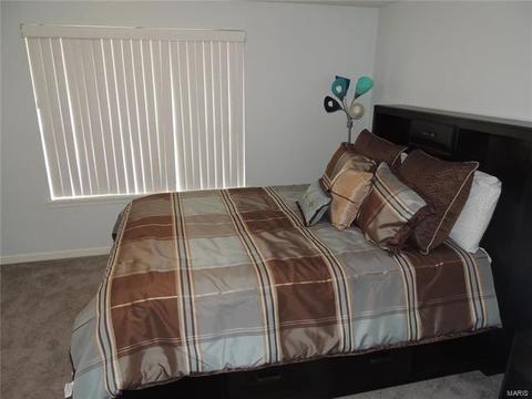1222 Bedford Falls Ct, Ballwin, MO 63021 photo 30