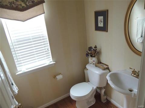 1222 Bedford Falls Ct, Ballwin, MO 63021 photo 15