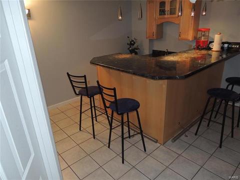 1222 Bedford Falls Ct, Ballwin, MO 63021 photo 28