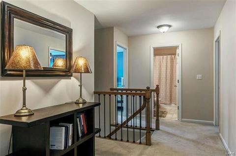 870 Pheasant Woods Dr, Manchester, MO 63021 photo 18