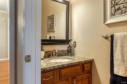 870 Pheasant Woods Dr, Manchester, MO 63021 photo 17
