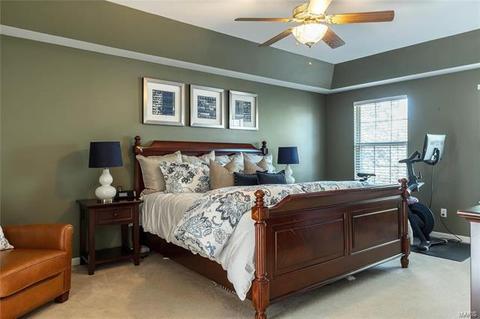 870 Pheasant Woods Dr, Manchester, MO 63021 photo 19