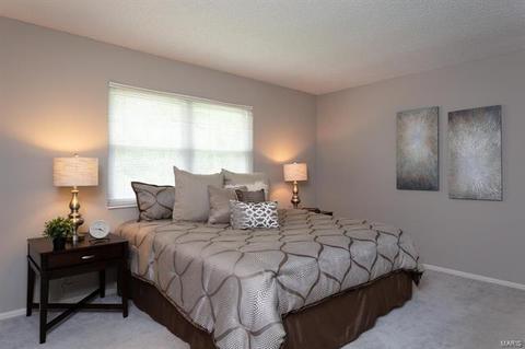 906 Almond Hill Ct, Manchester, MO 63021 photo 9