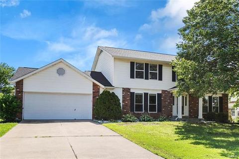 10 Georgetown Cir, O'fallon, MO 63368 photo 2