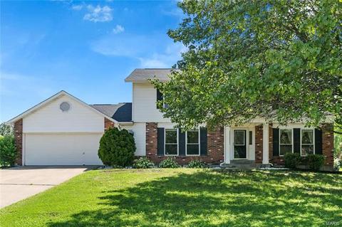 10 Georgetown Cir, O'fallon, MO 63368 photo 1