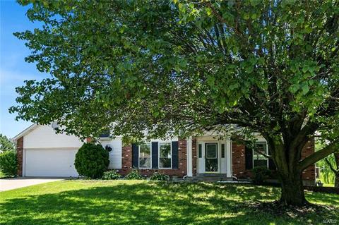 10 Georgetown Cir, O'fallon, MO 63368 photo 52