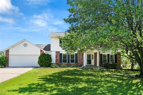 10 Georgetown Cir, O'fallon, MO 63368 photo 51