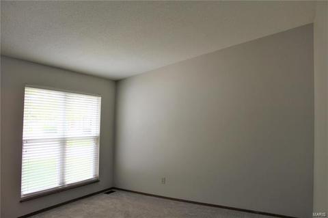 5 Saddleback, O'fallon, MO 63368 photo 5