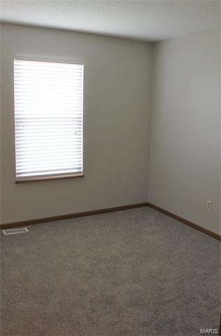 5 Saddleback, O'fallon, MO 63368 photo 16
