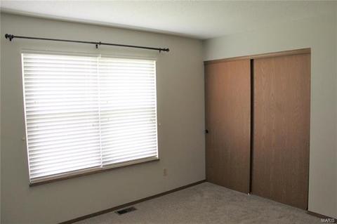 5 Saddleback, O'fallon, MO 63368 photo 15